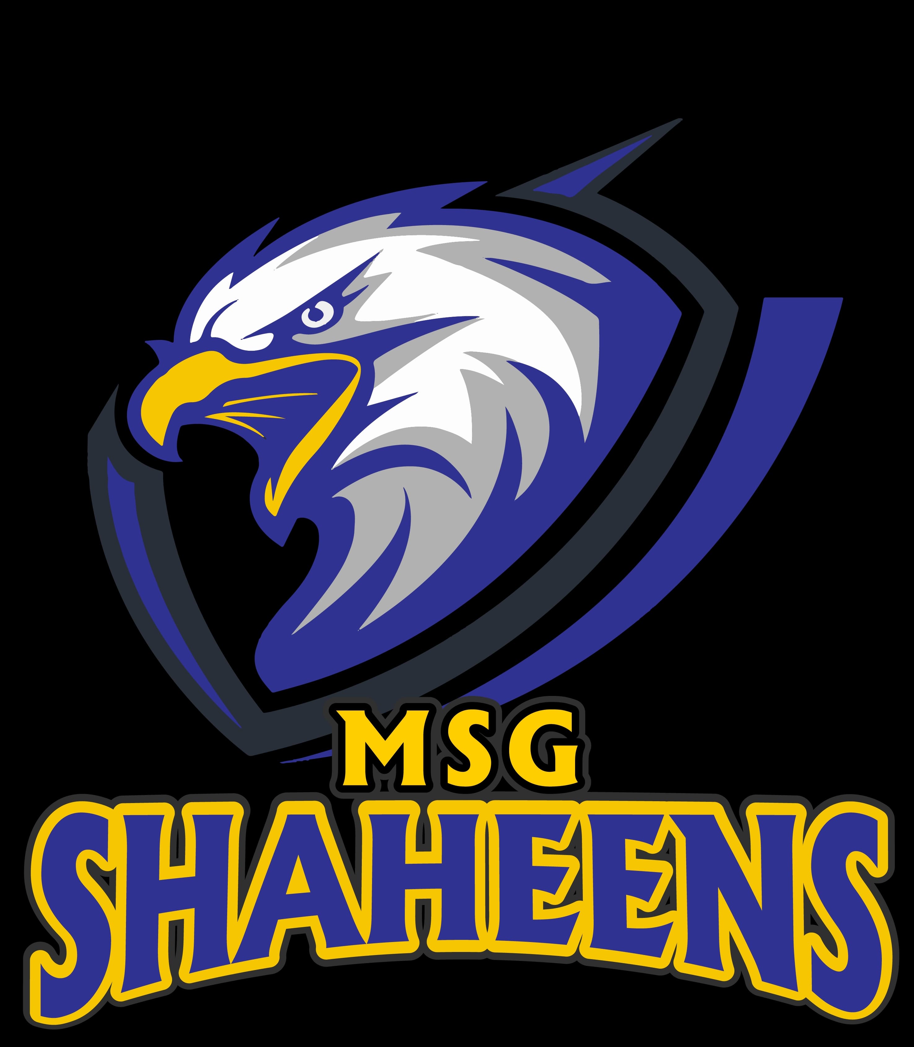 Shaheens team logo