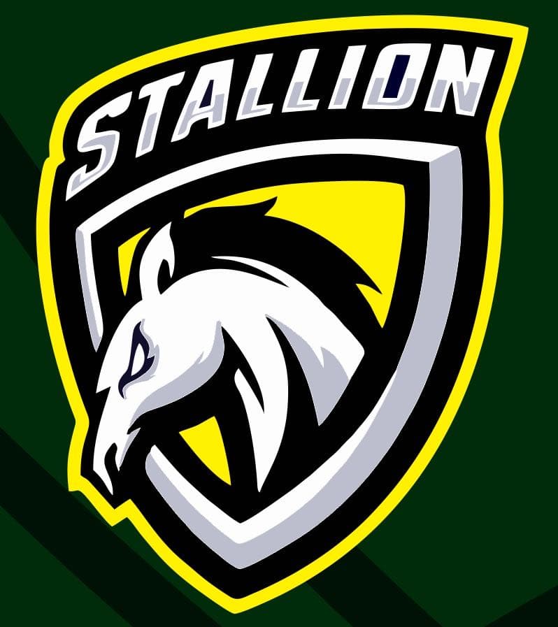 STALLIONS team logo