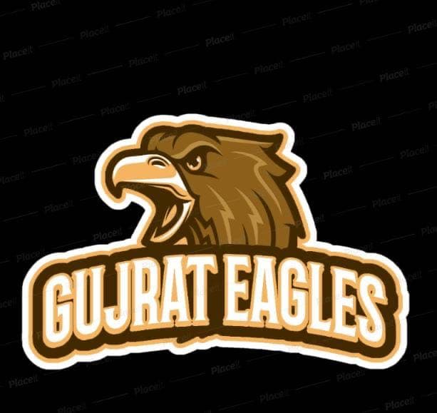 Gujrat Eagles team logo