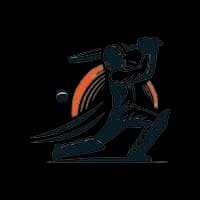 insaf tigers team logo