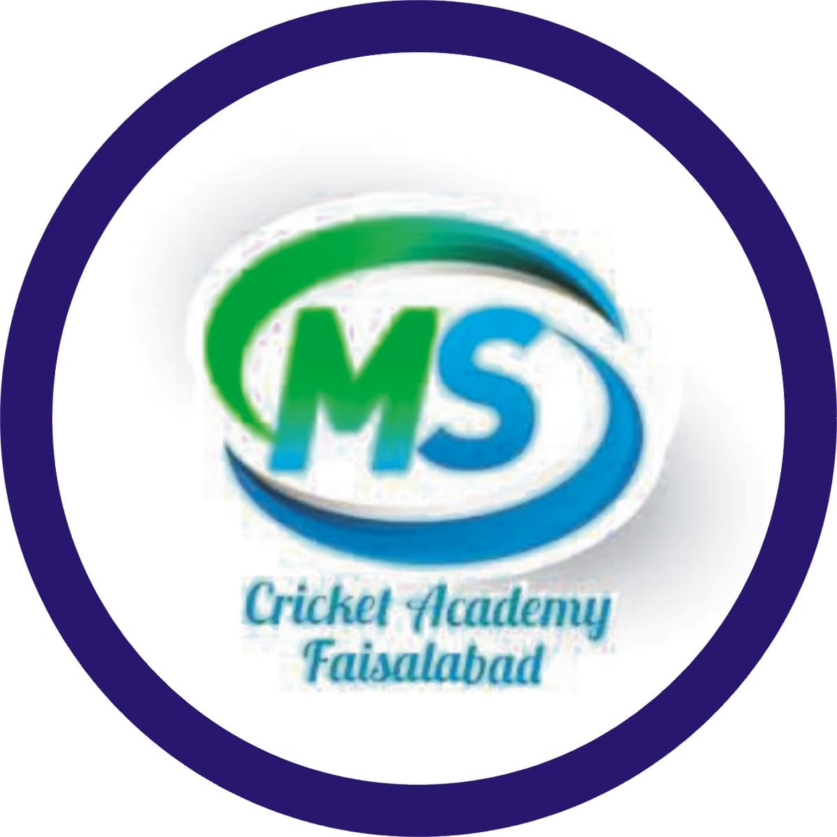 MS ACADEMY team logo