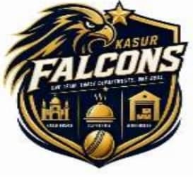 Kasur FALCONS
