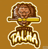 Talha Friends