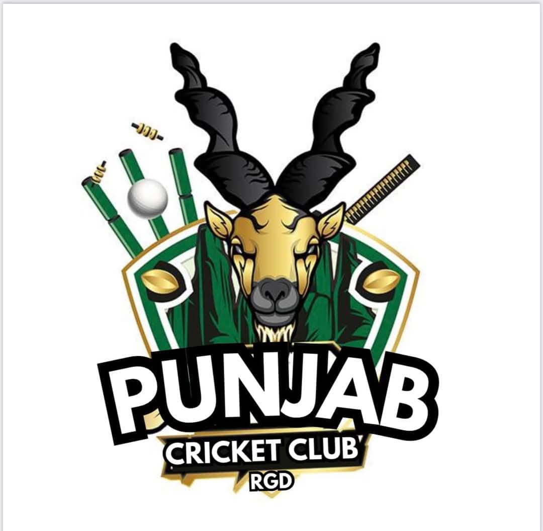 Punjab team logo