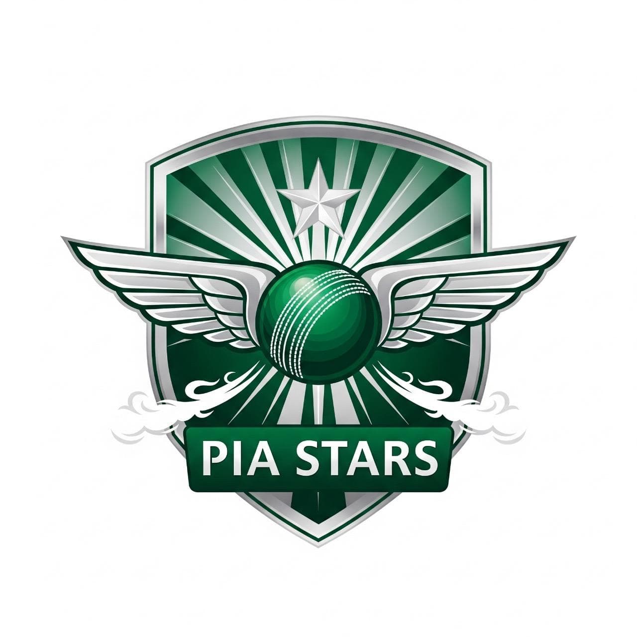 PIA STARS team logo