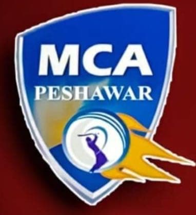 Malik Sport Cricket Club team logo