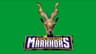 Malik Society Markhors