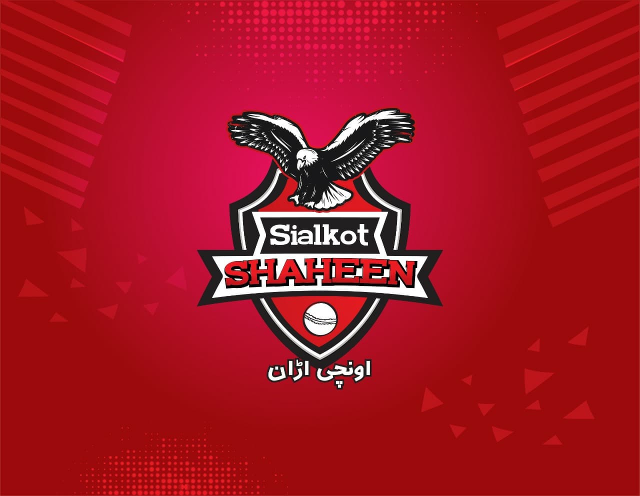 Sialkot Shaheens