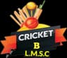 LMSC B