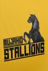 Stallions