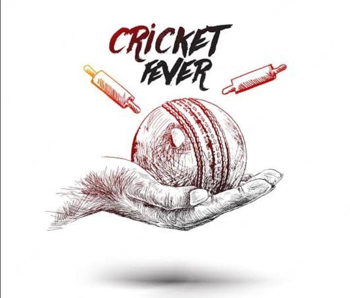 Hussain Cricket Club Bahawalnager team logo