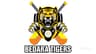 Bedar_Tigers