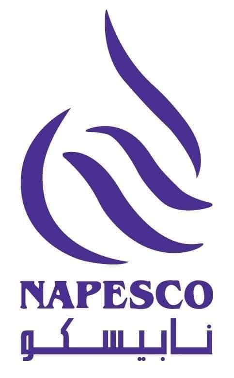 Napesco team logo