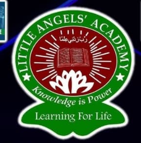 Little Angels Academy team logo