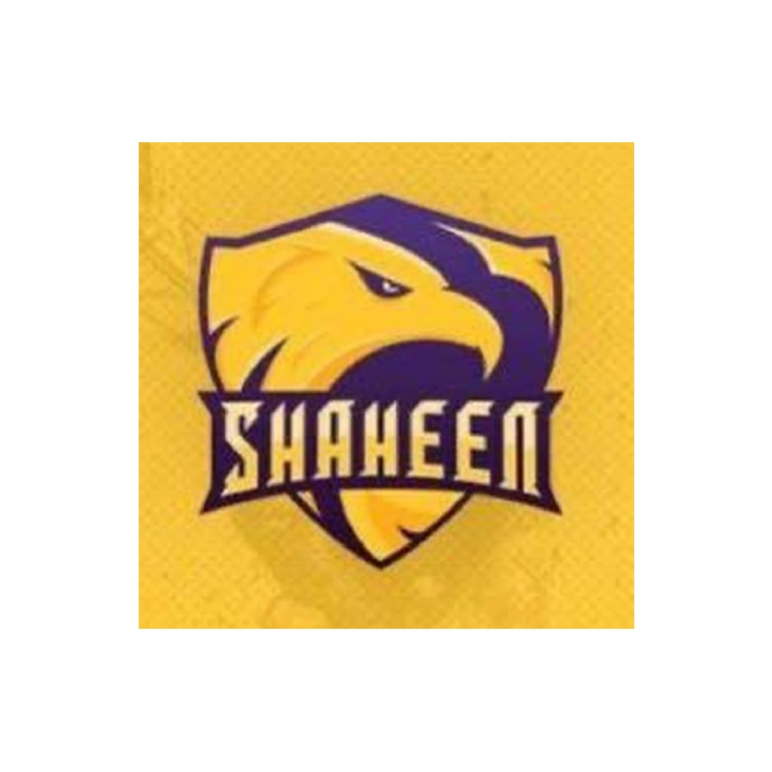 ACAS Shaheen team logo