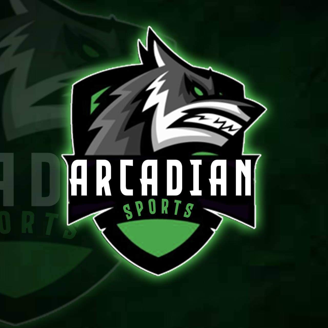ARCADIAN SPORTS team logo