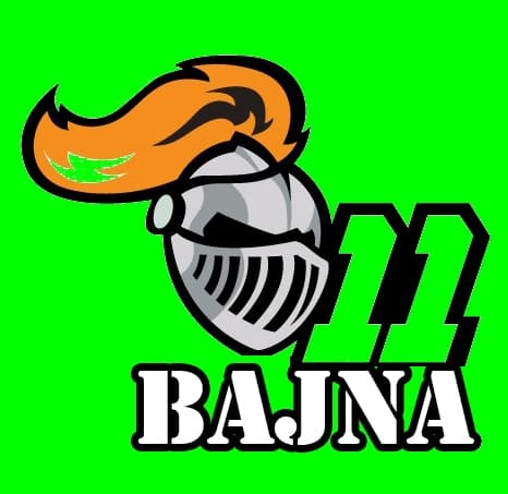 Bajna Eleven team logo