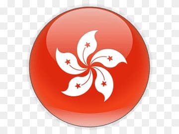 Hong Kong team logo