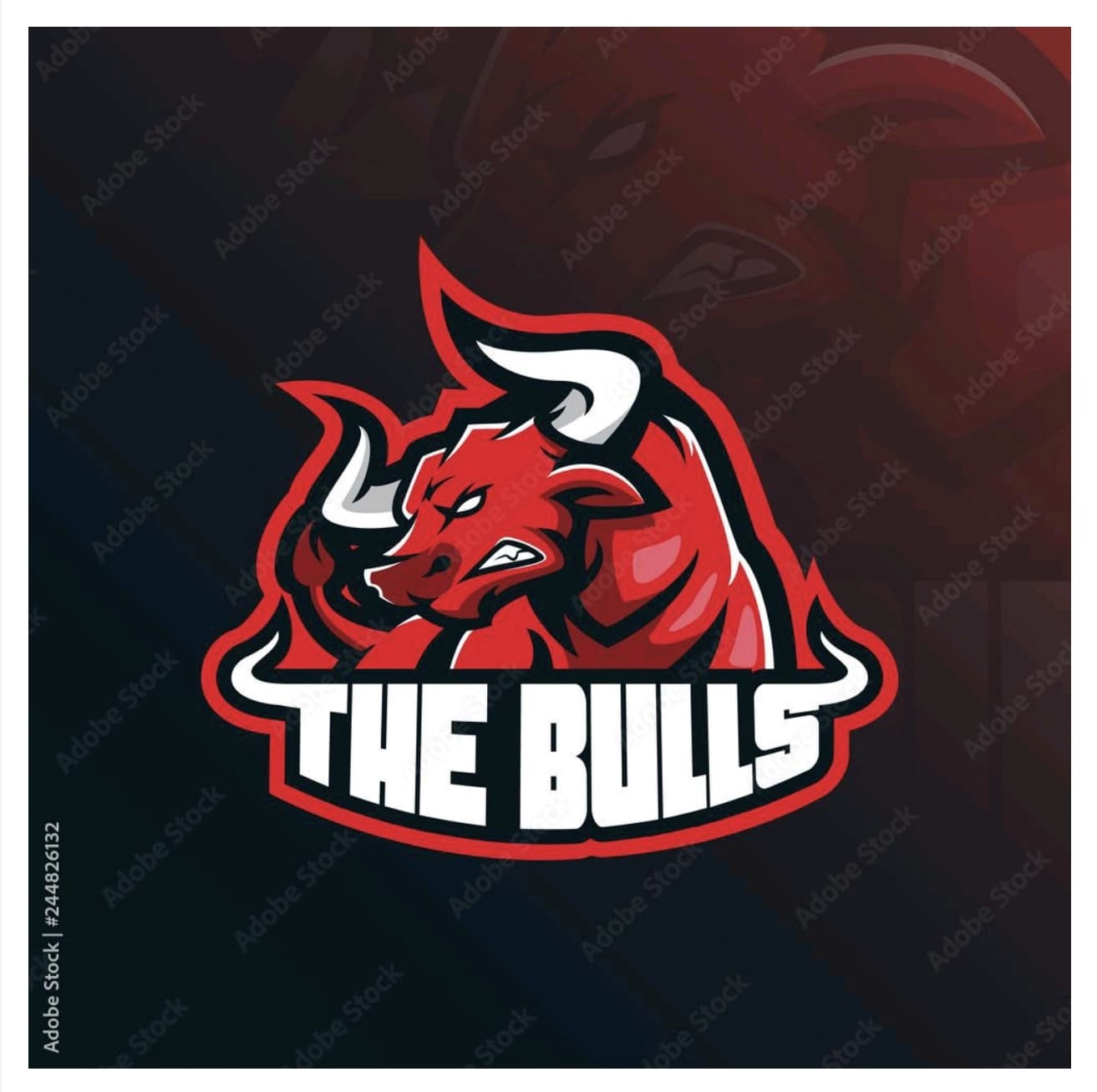 THE  BULL