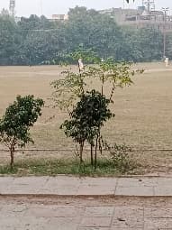 Rcb