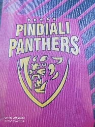 Pandyali panther