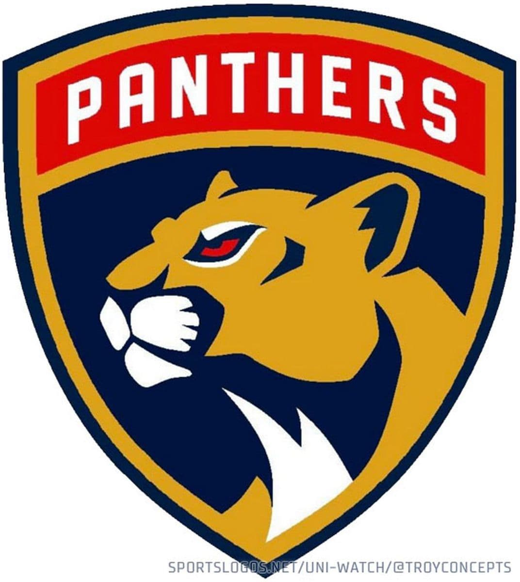 Jhang Panthers team logo