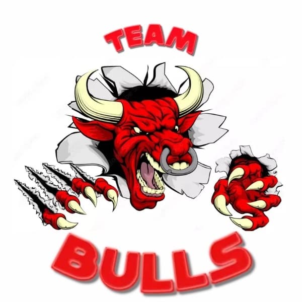 Bulls team logo