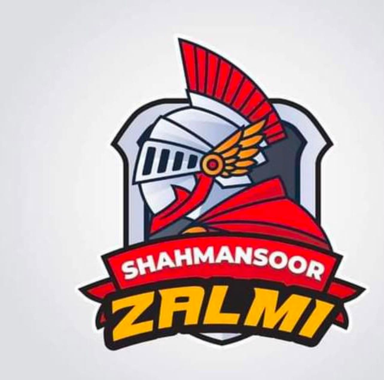 SHAHMANSOR ZALMI team logo