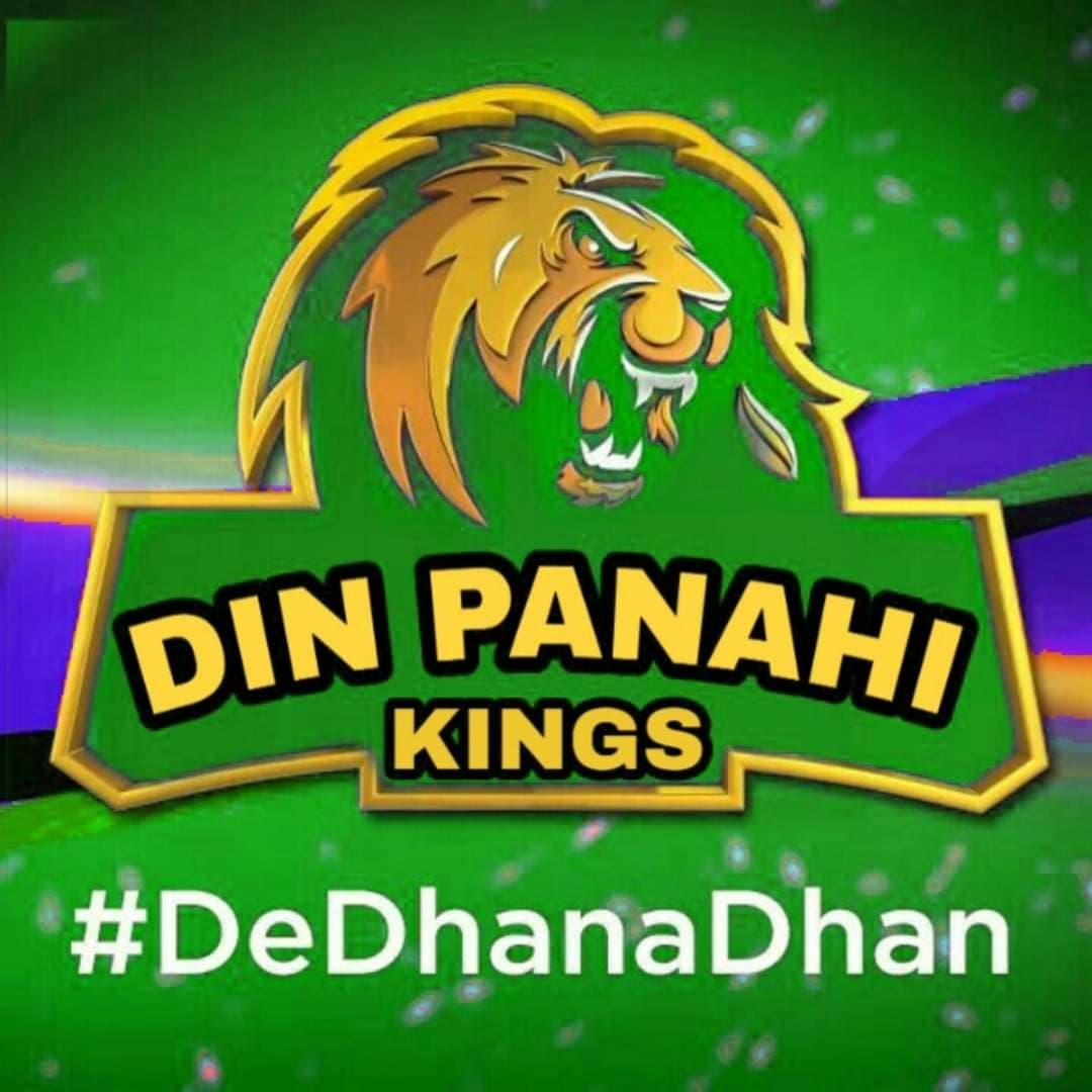Din Panahi Kings Cricket Club team logo