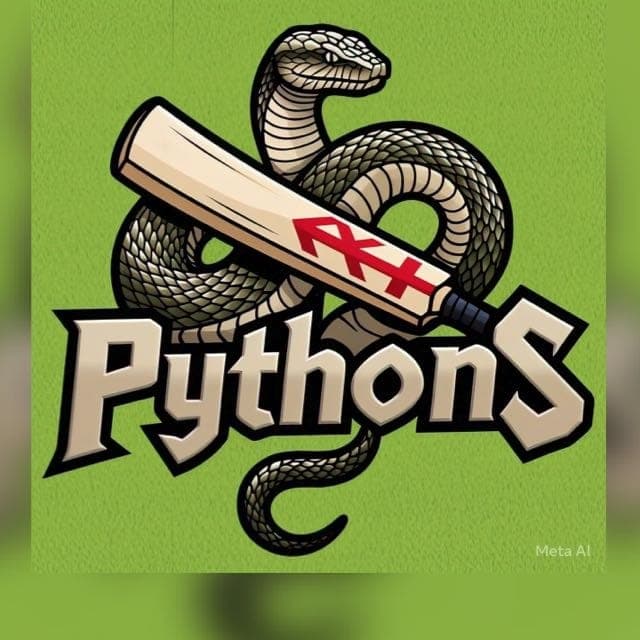 PYTHONS team logo