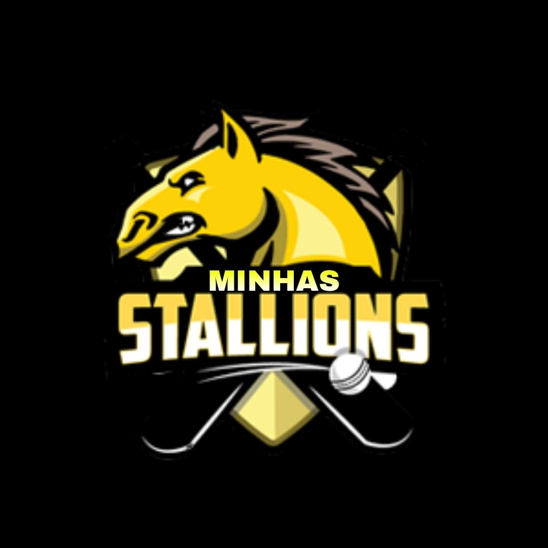 MINHAS STALLIONS team logo