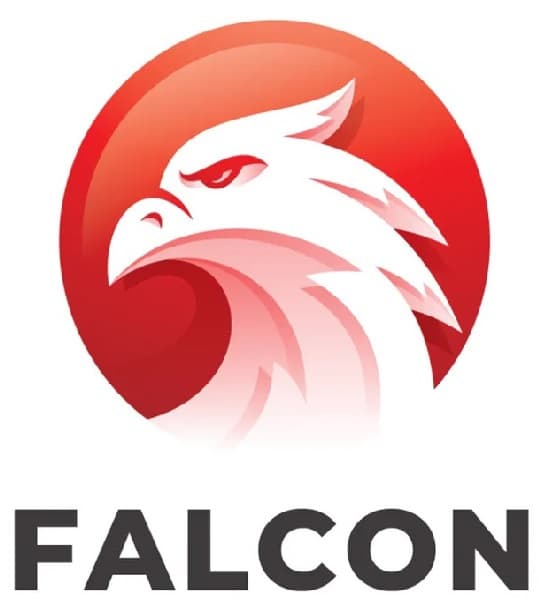 Cyber Falcon