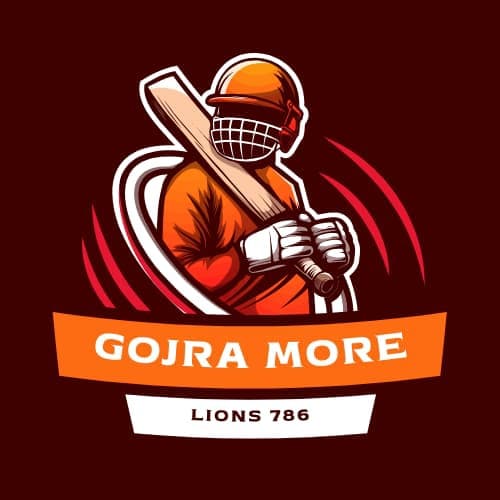 IRFAN QADRI team logo