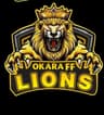 Okara FF Lions