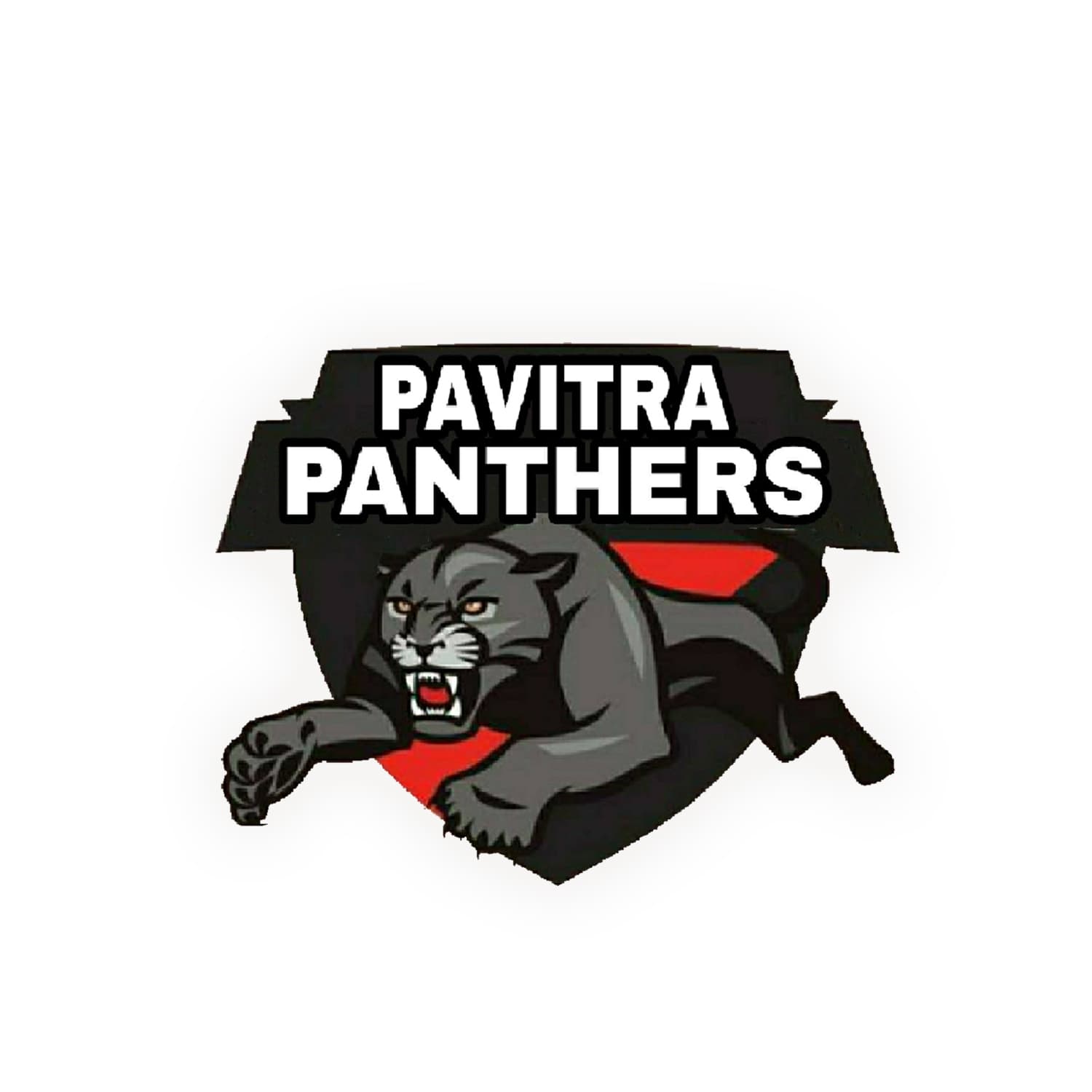 PAVITRA PANTHERS team logo