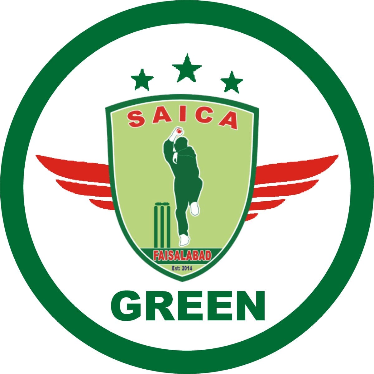 SAICA GREEN (U-19) team logo