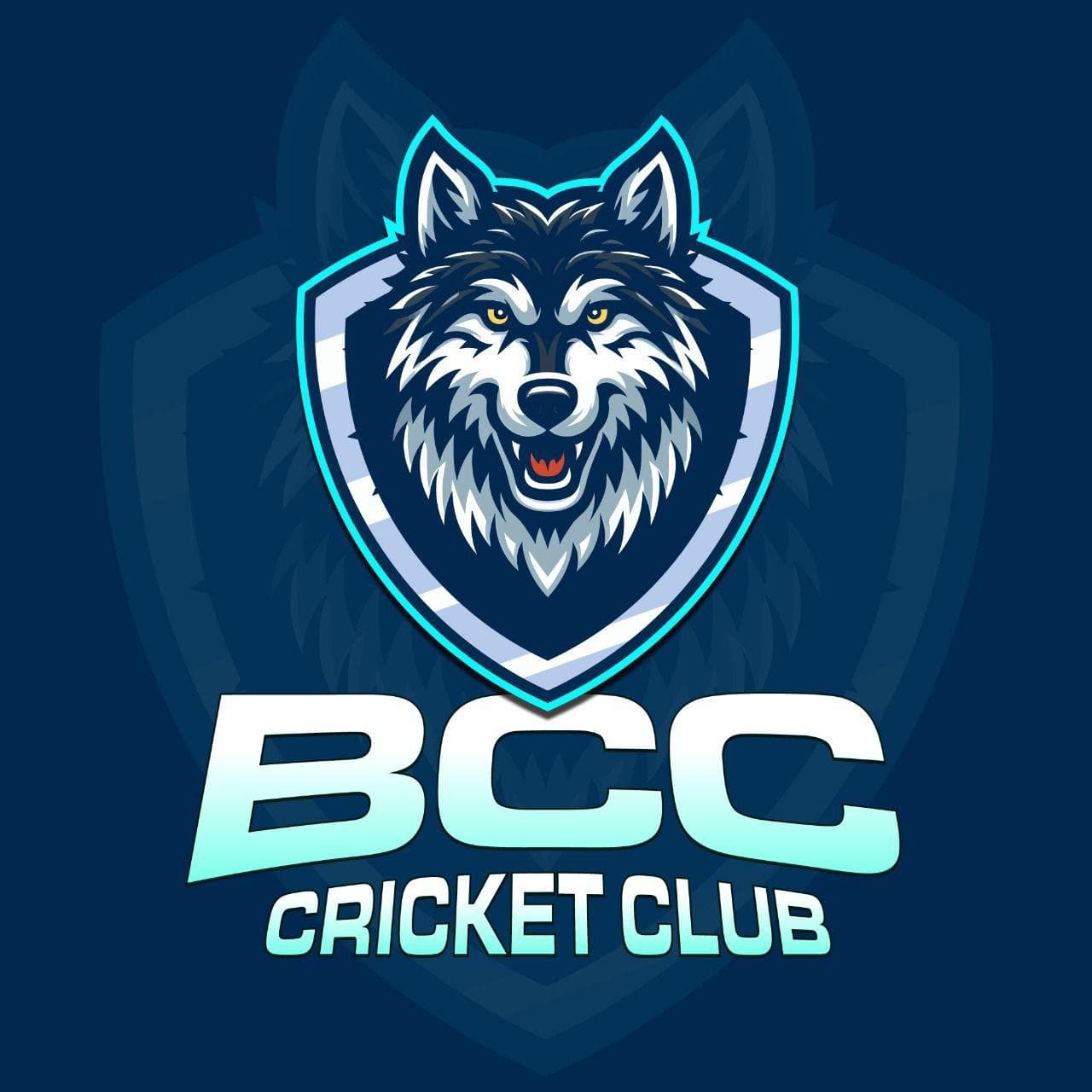 Bherra C C