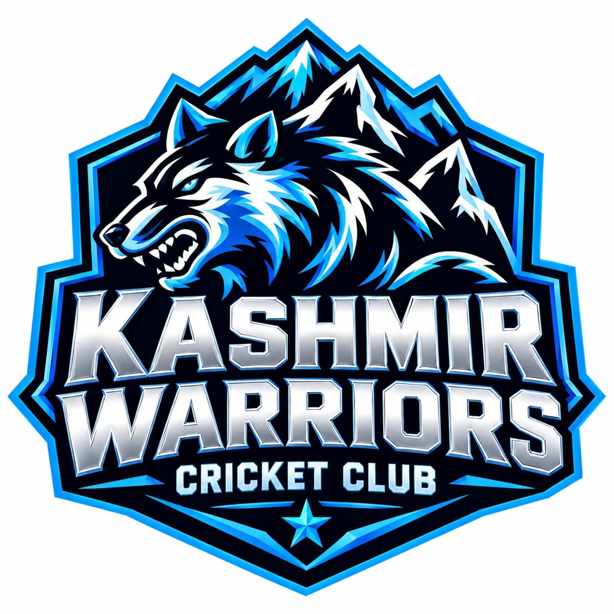 Farhan Bobby team logo