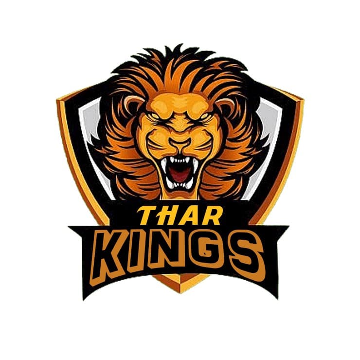 Kings team logo