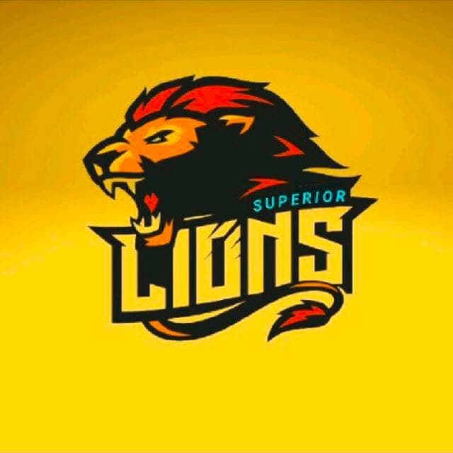 Superior Lions team logo