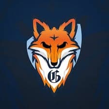 The Foxes