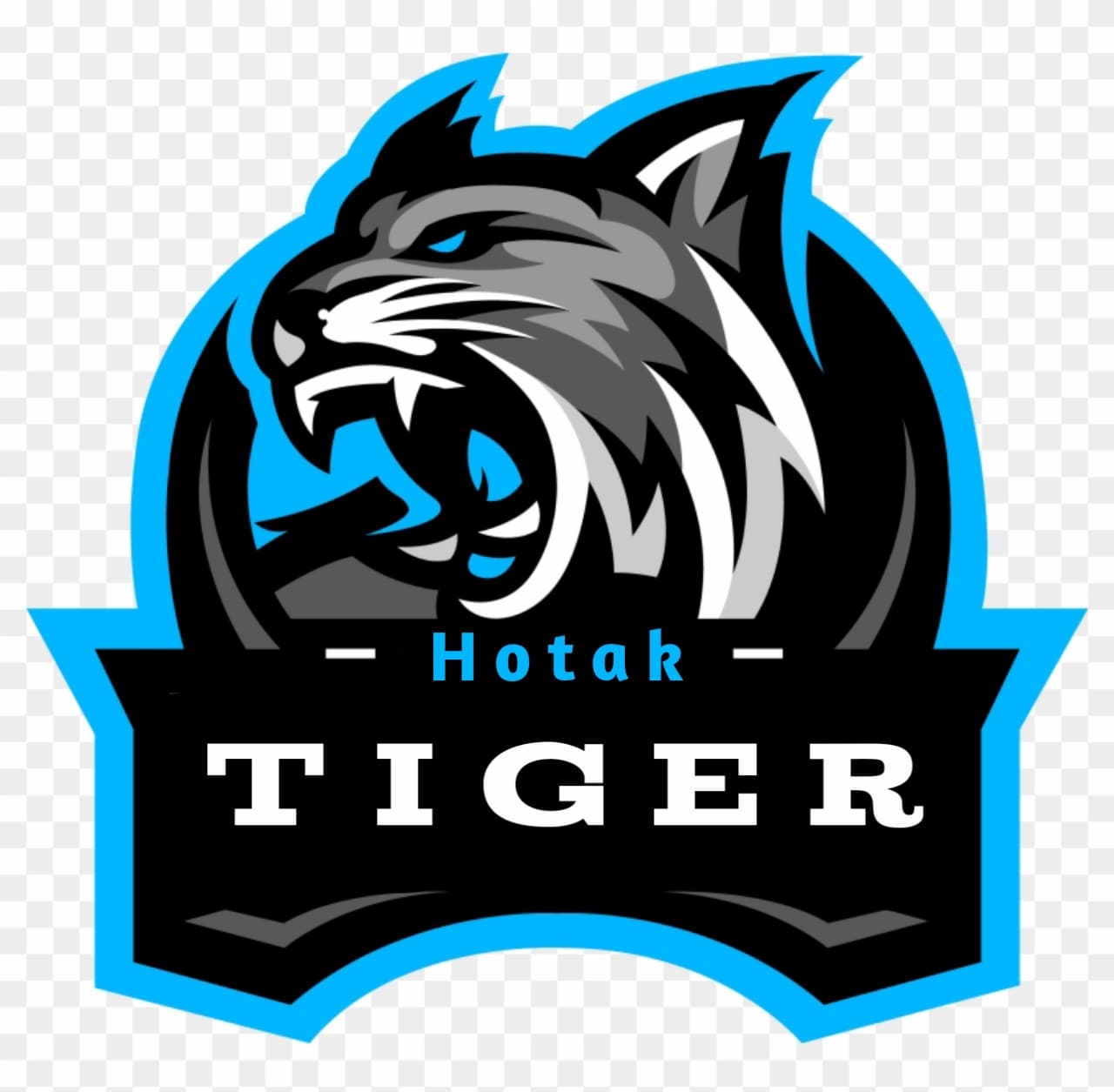 Hotak Tiger team logo