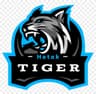 Hotak Tiger