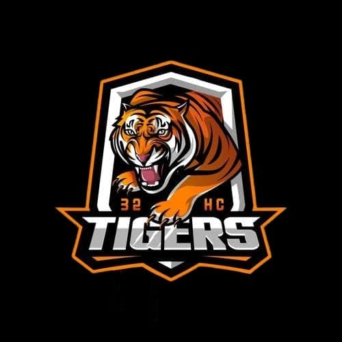 Kabeer Tigers team logo