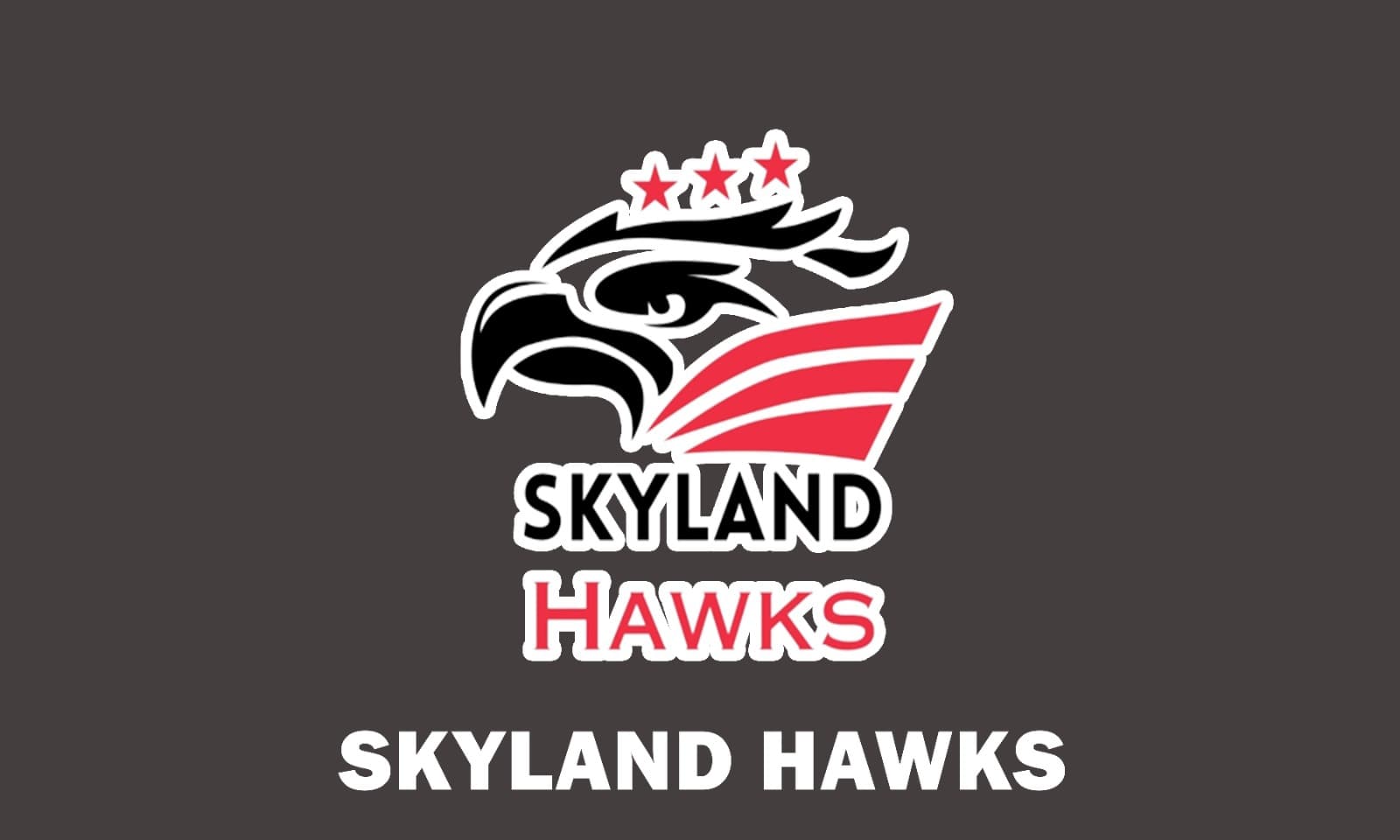 Skyland Hawks team logo