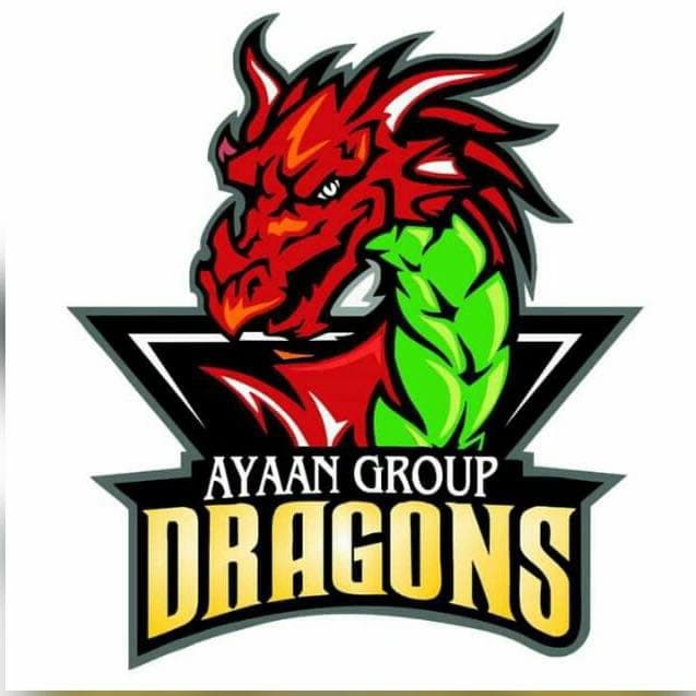 Ayaan Grouop Dragons team logo