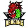 Ayaan Grouop Dragons