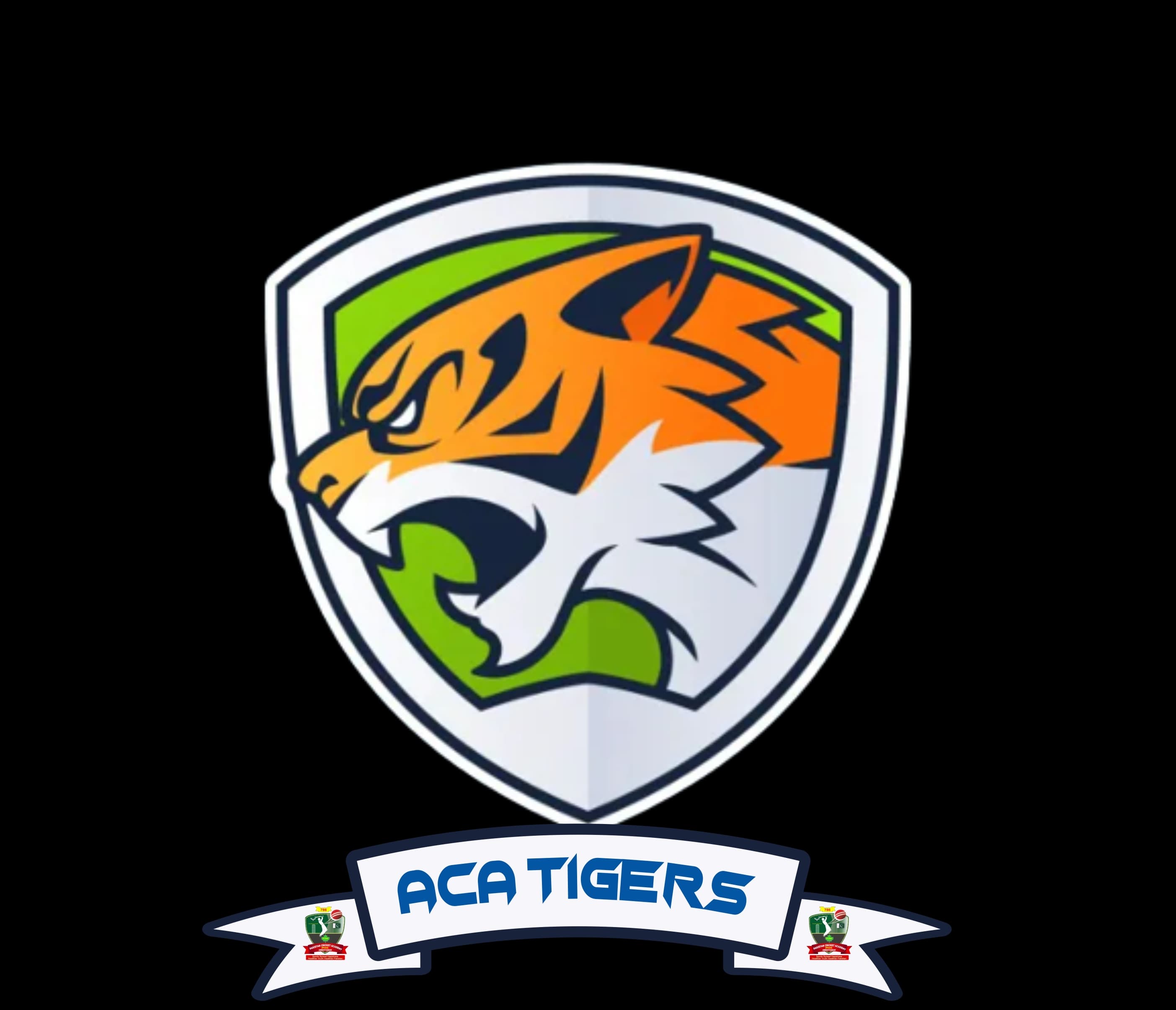 ACA TIGERS