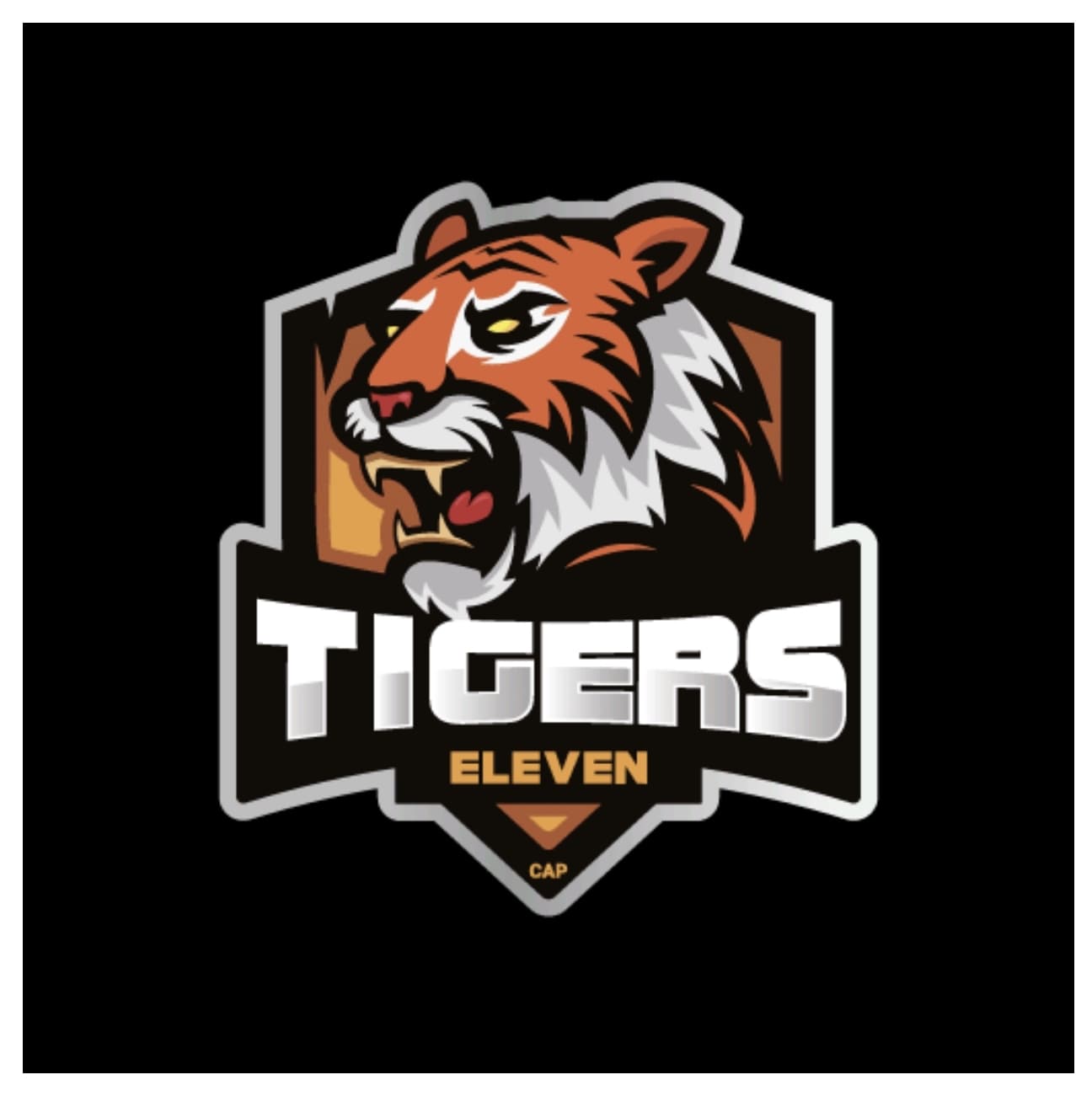 TIGER XI