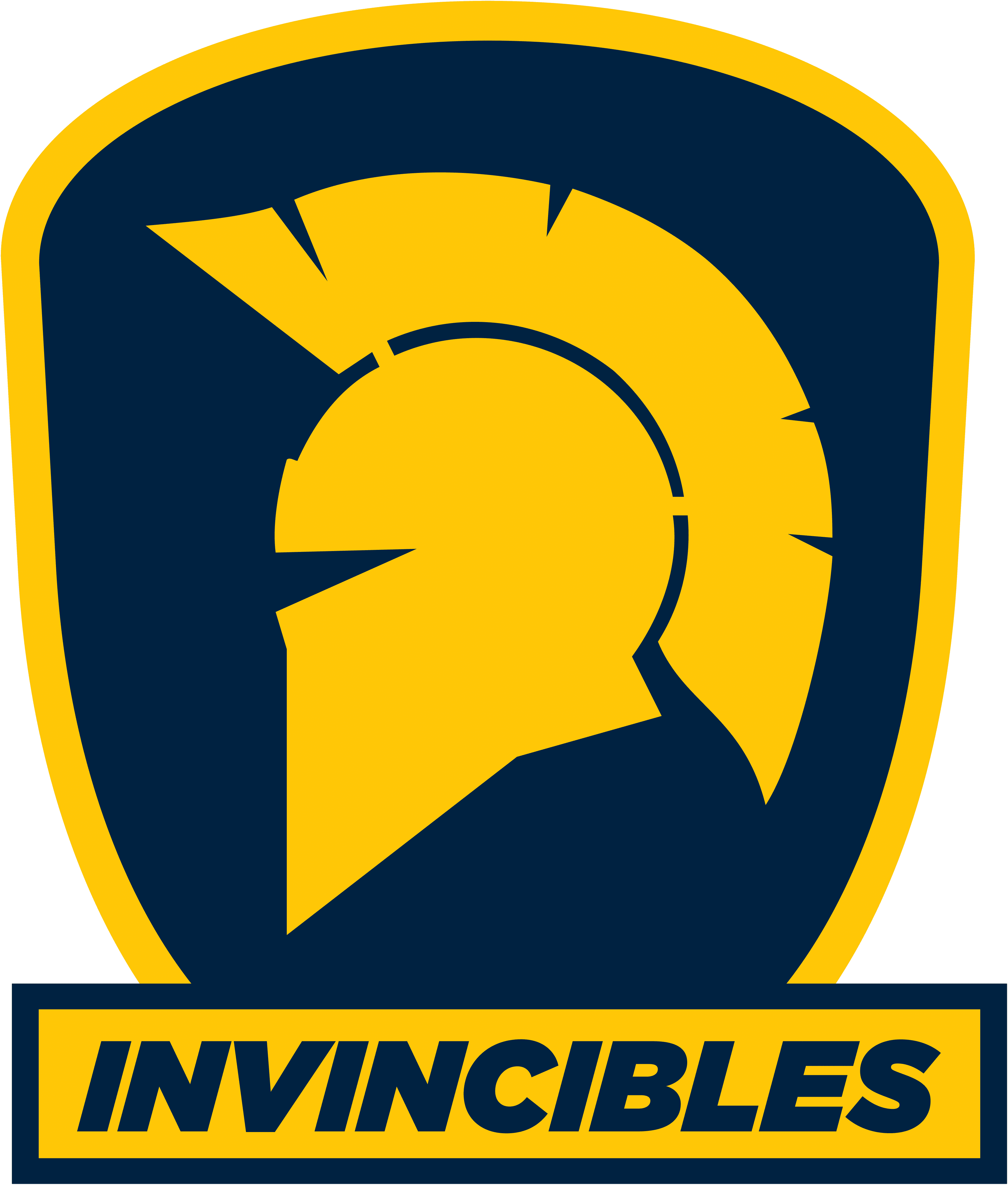 Invincibles team logo